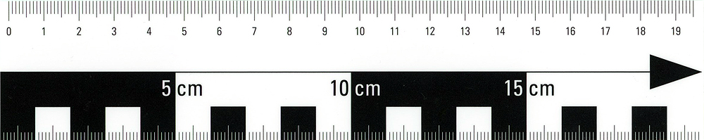 Maß 1000-web-